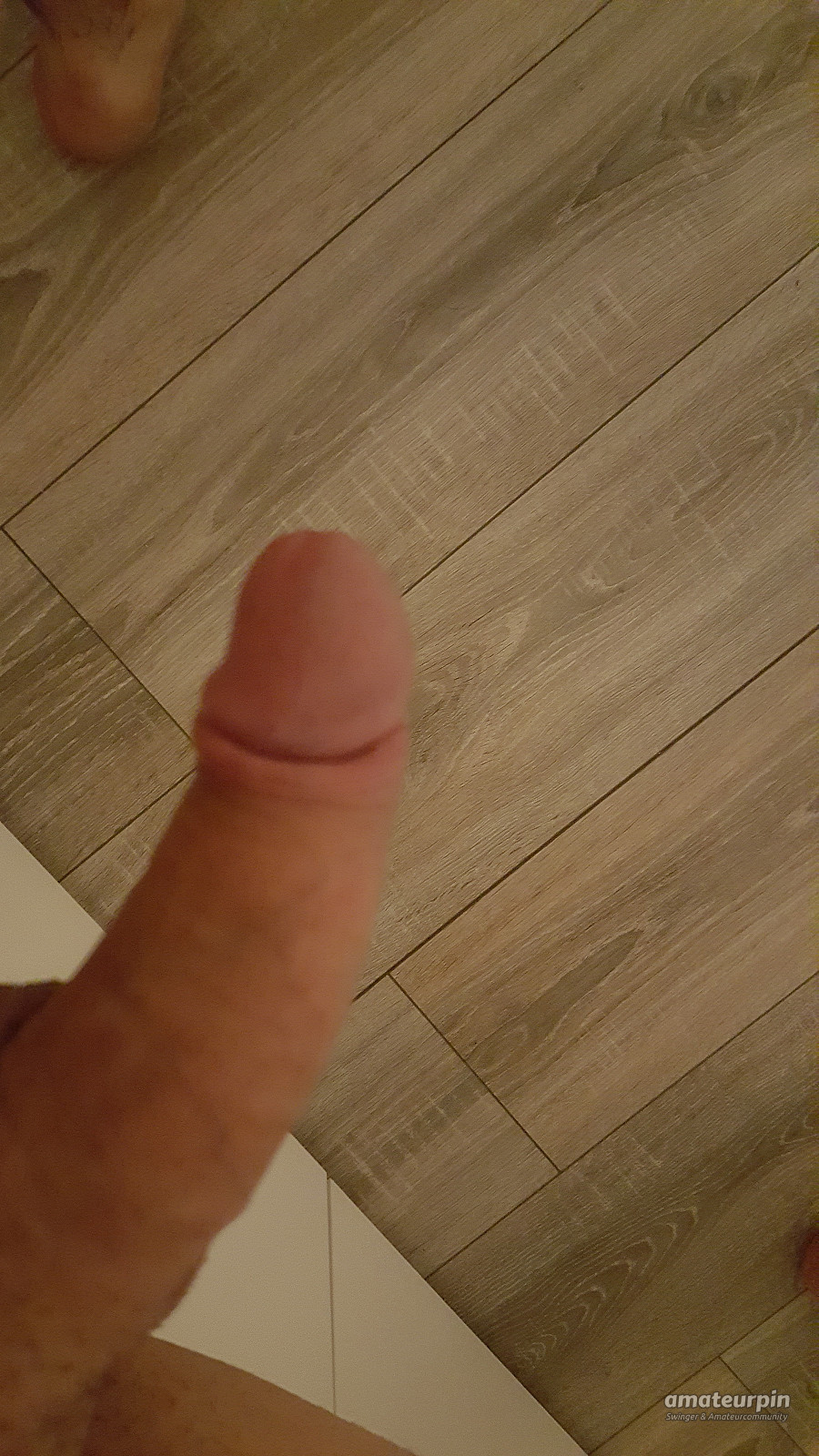 my cock gallery image