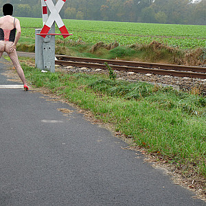 Public shooting gallery image