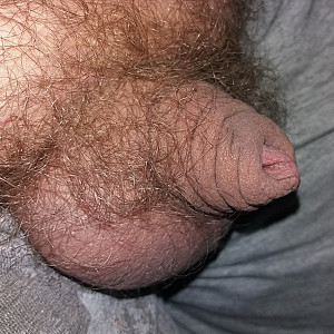 First image of Frki35's Gallery - my hairy cock