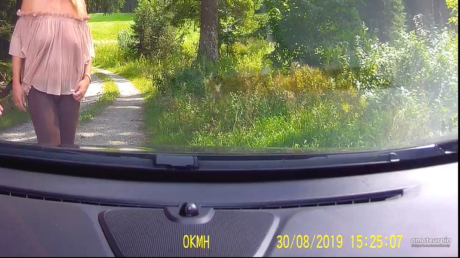 Dash Cam Galeriebild