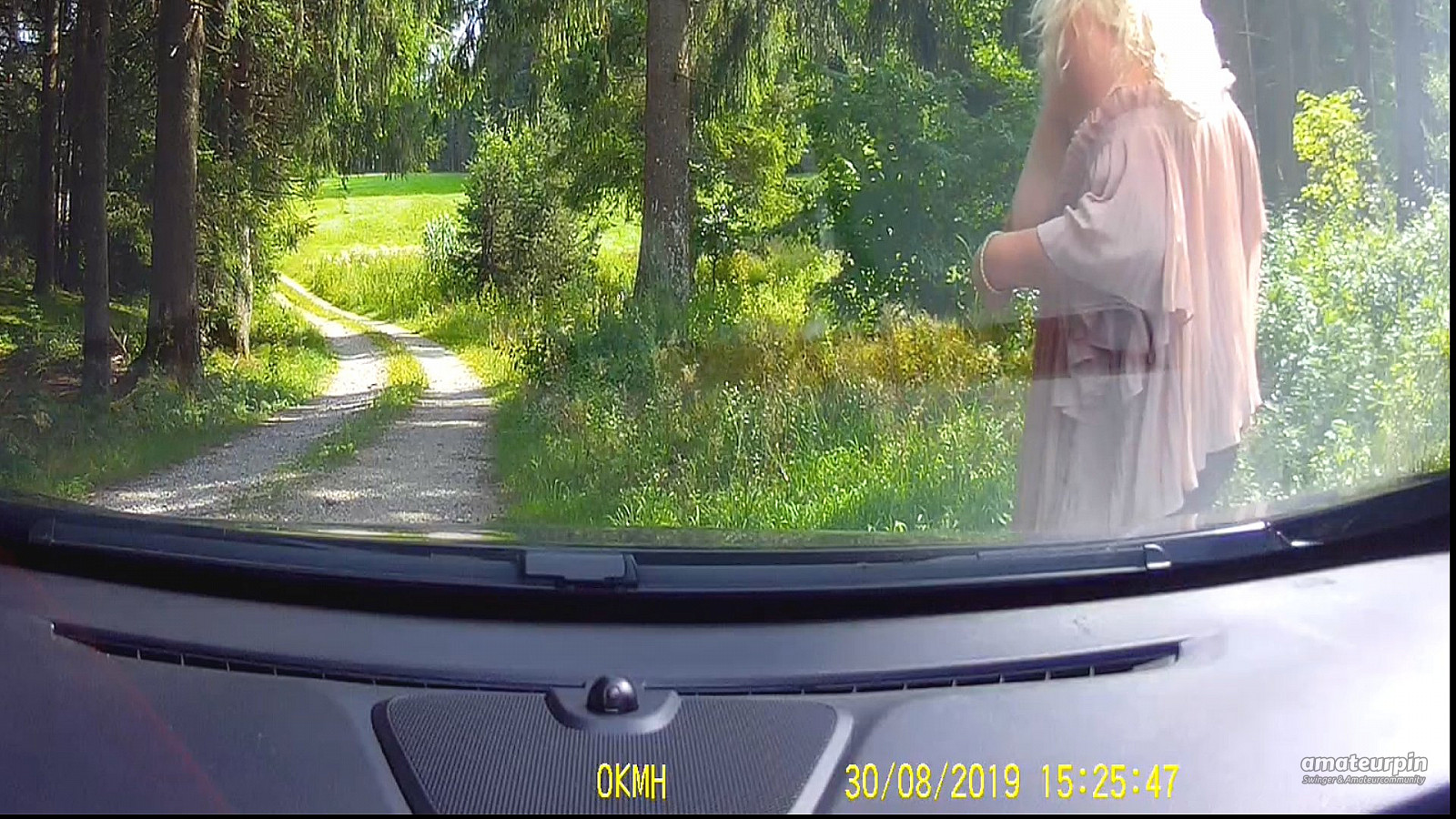 Dash Cam Galeriebild