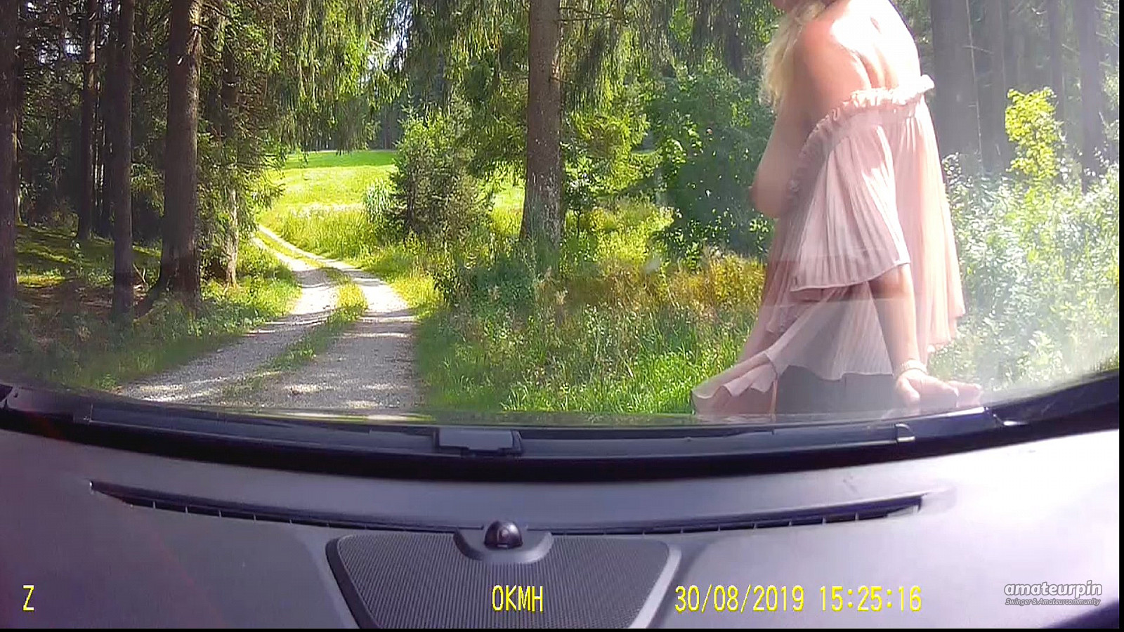 Dash Cam Galeriebild