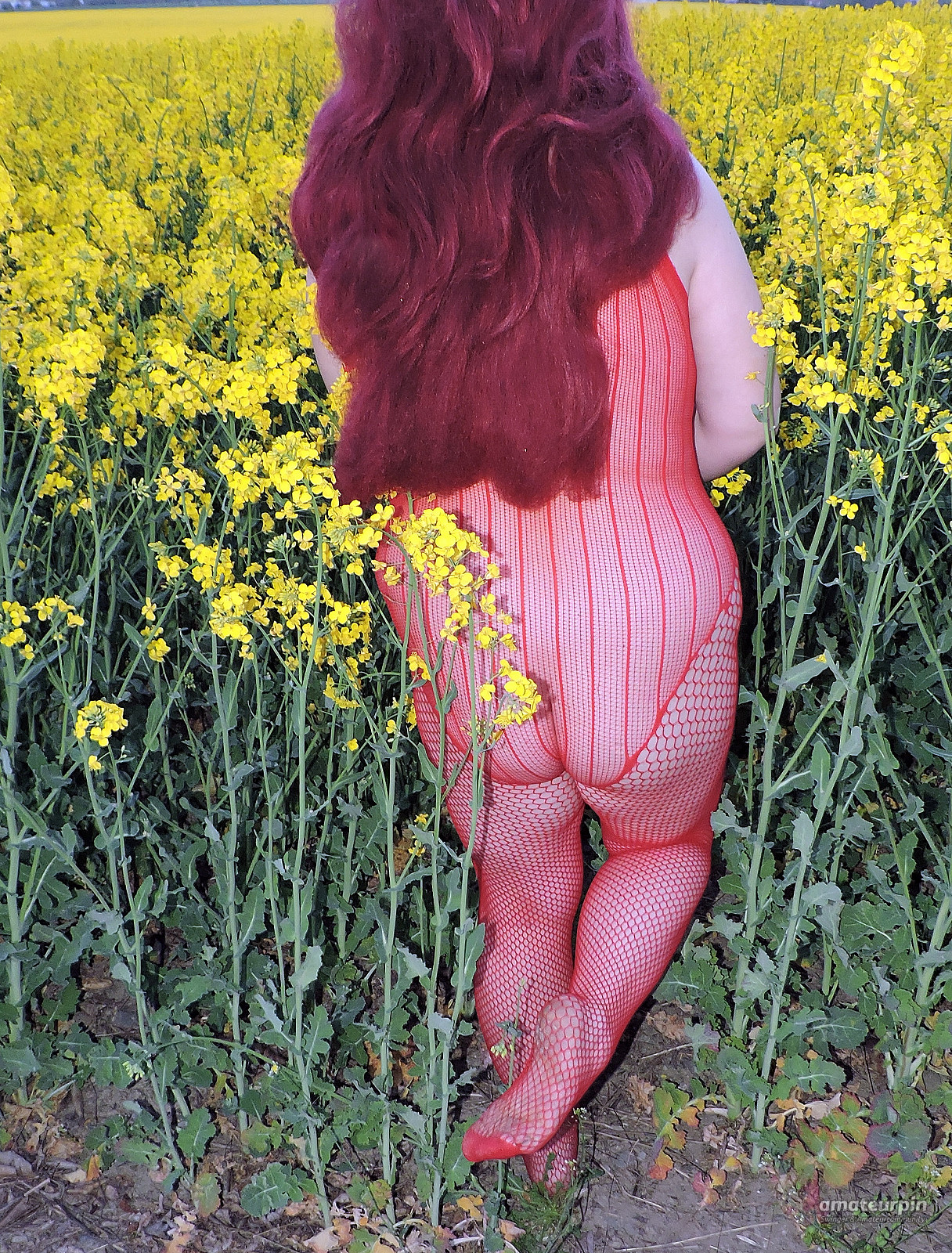 Sexy in Rot am gelben Rapsfeld 2020 Galeriebild