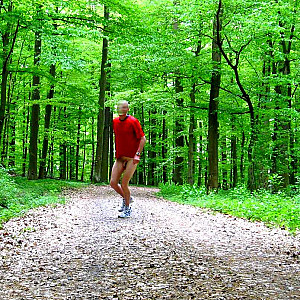 workout in the woods gallery image