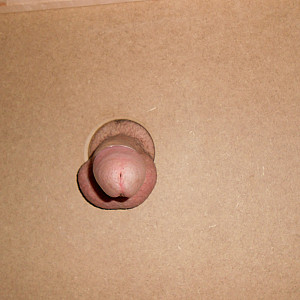 Privates Glory Hole Galeriebild