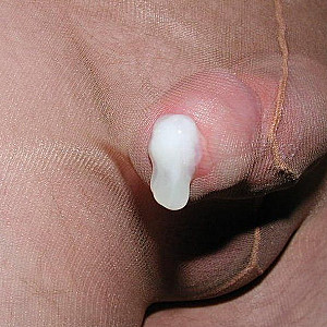 First image of RpNF's Gallery - the nylon cock still jerks