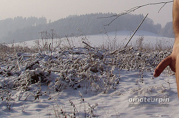 wintertime gallery image