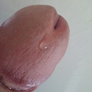 My Precum gallery image