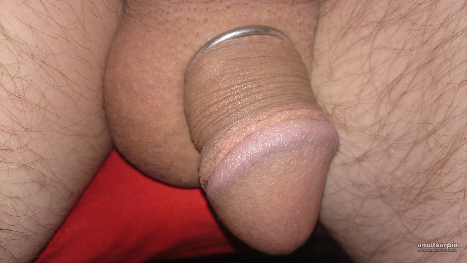 my cock gallery image