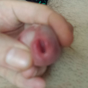 my cock gallery image