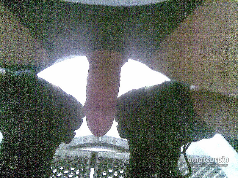 my cock gallery image