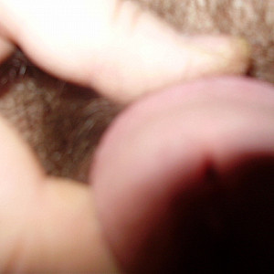 my cock gallery image