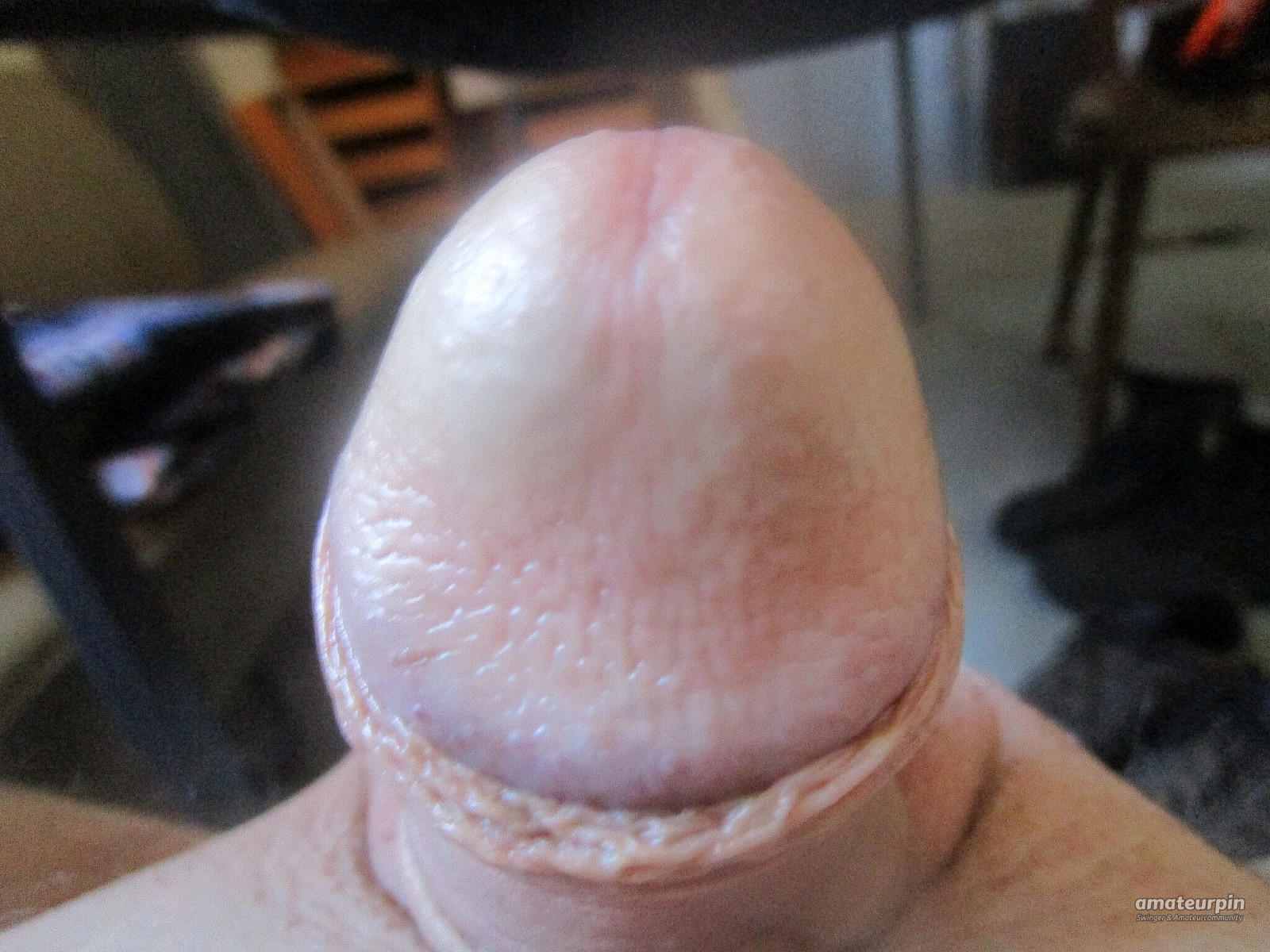 Galerie Mein schlaffer Penis. von Misterx800 - Amateur Pin - 340499