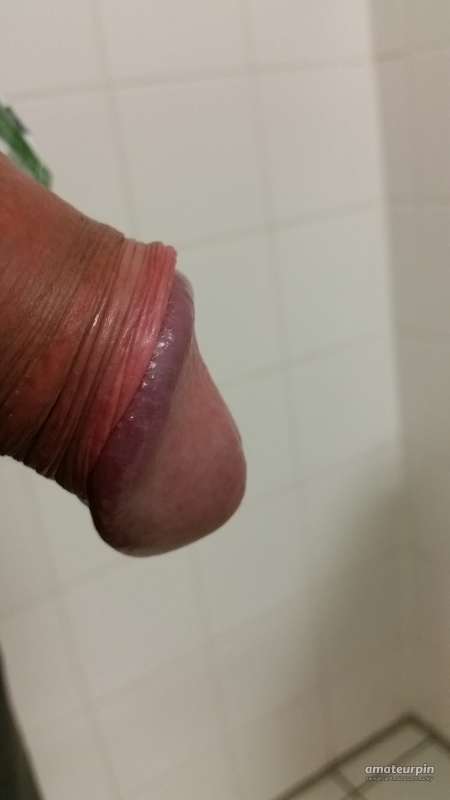 my cock gallery image