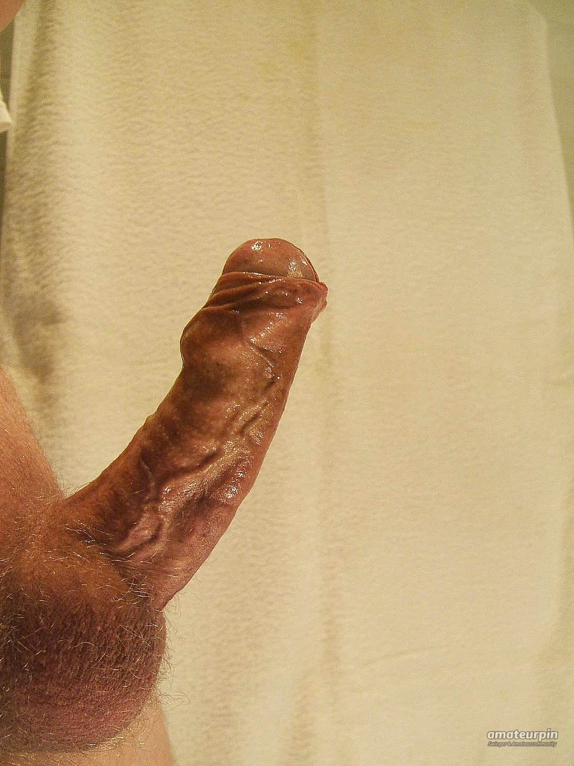 my cock 3 gallery image