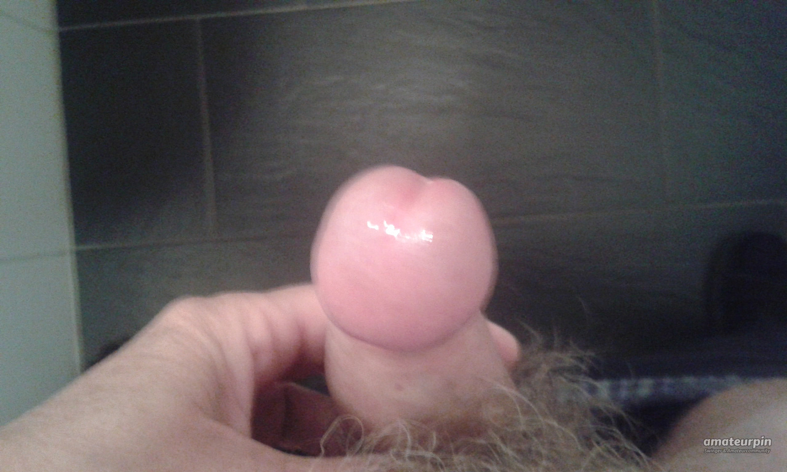 my cock gallery image