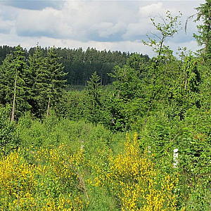 Das erste Bild von Fkk-ler's Galerie - Nackt in der Natur