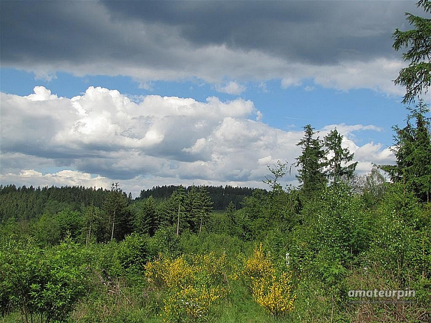 Nackt in der Natur Galeriebild