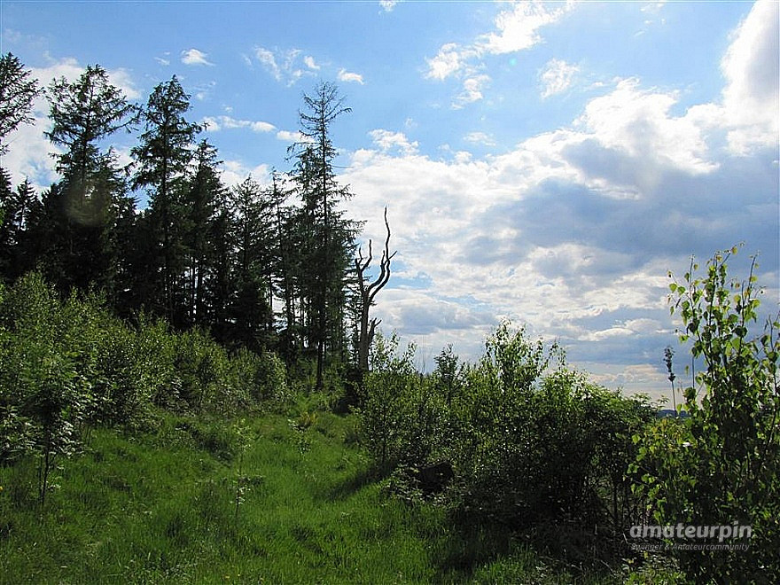 Nackt in der Natur Galeriebild