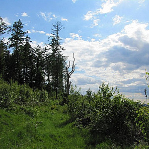 Nackt in der Natur Galeriebild