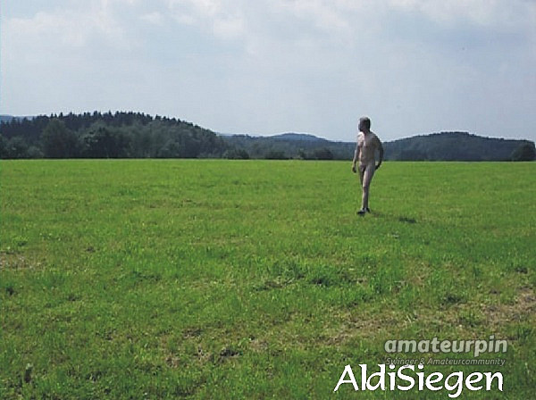 walk on the meadow gallery image