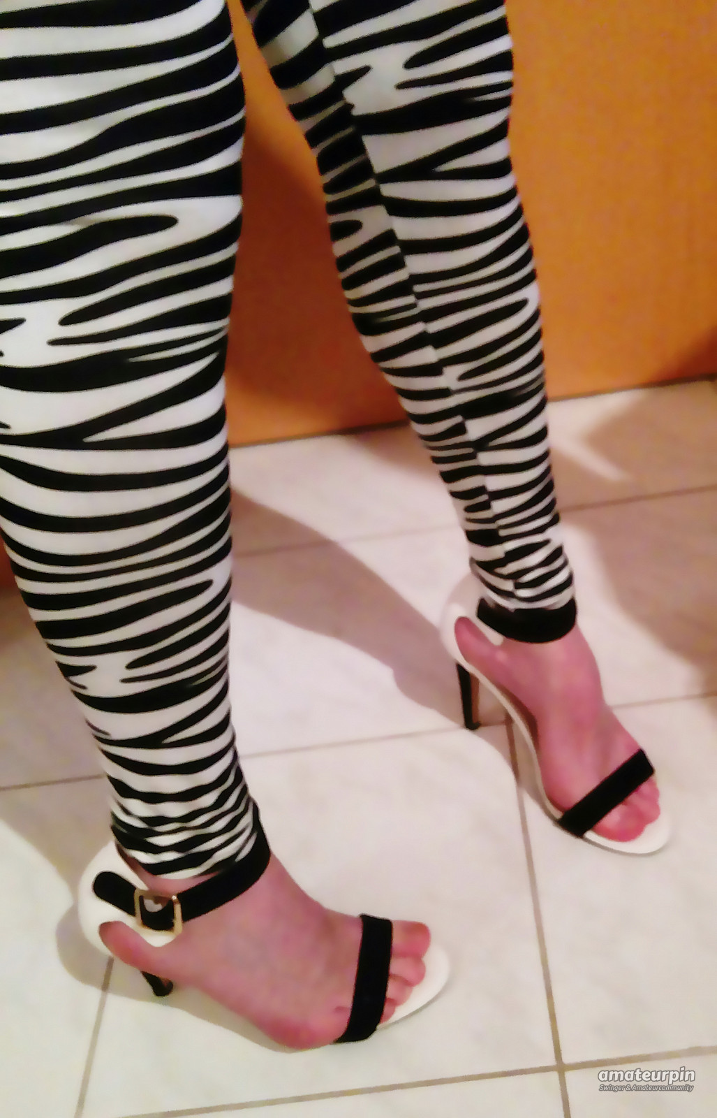 new zebra leggins gallery image