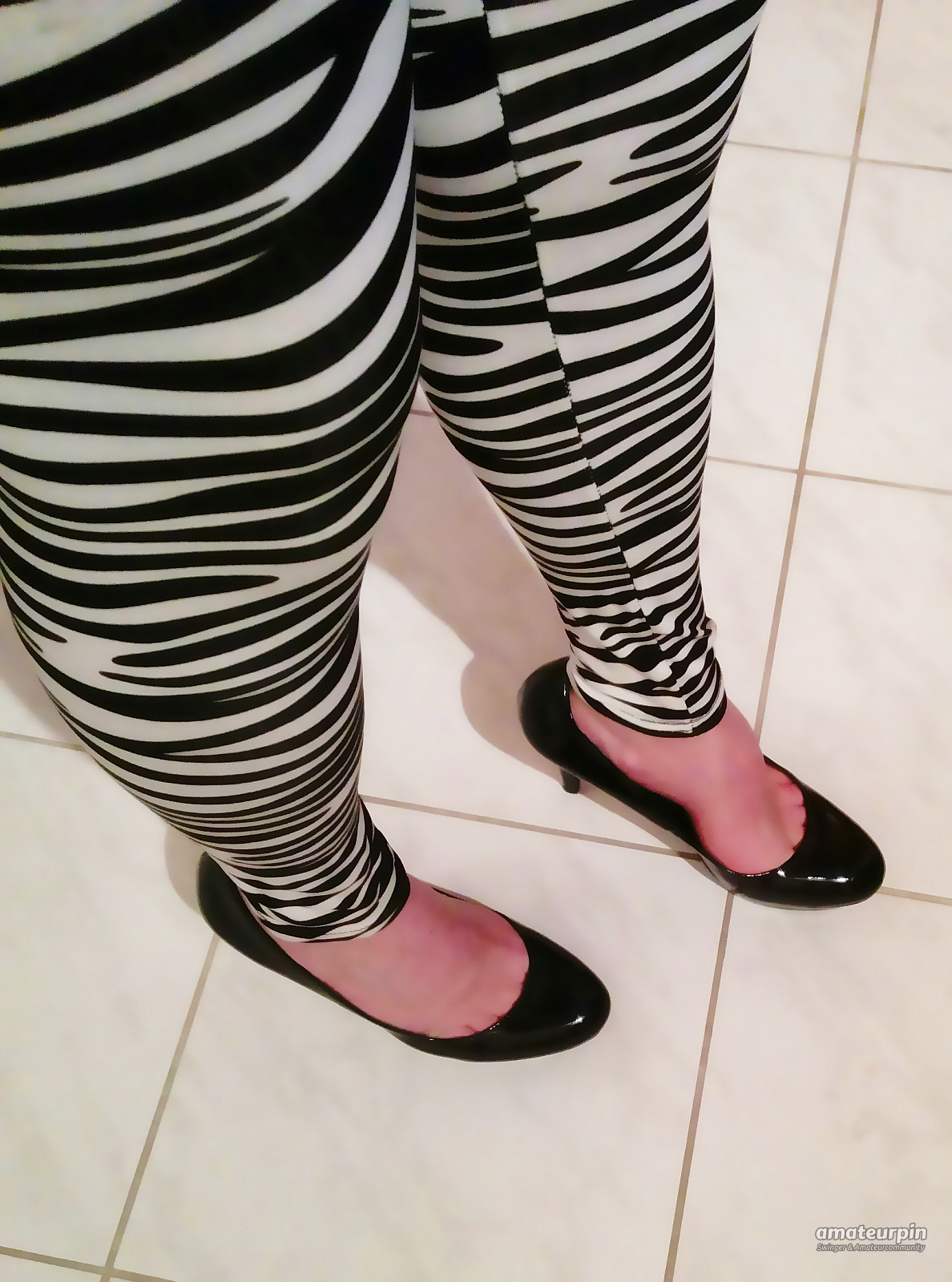 new zebra leggins gallery image