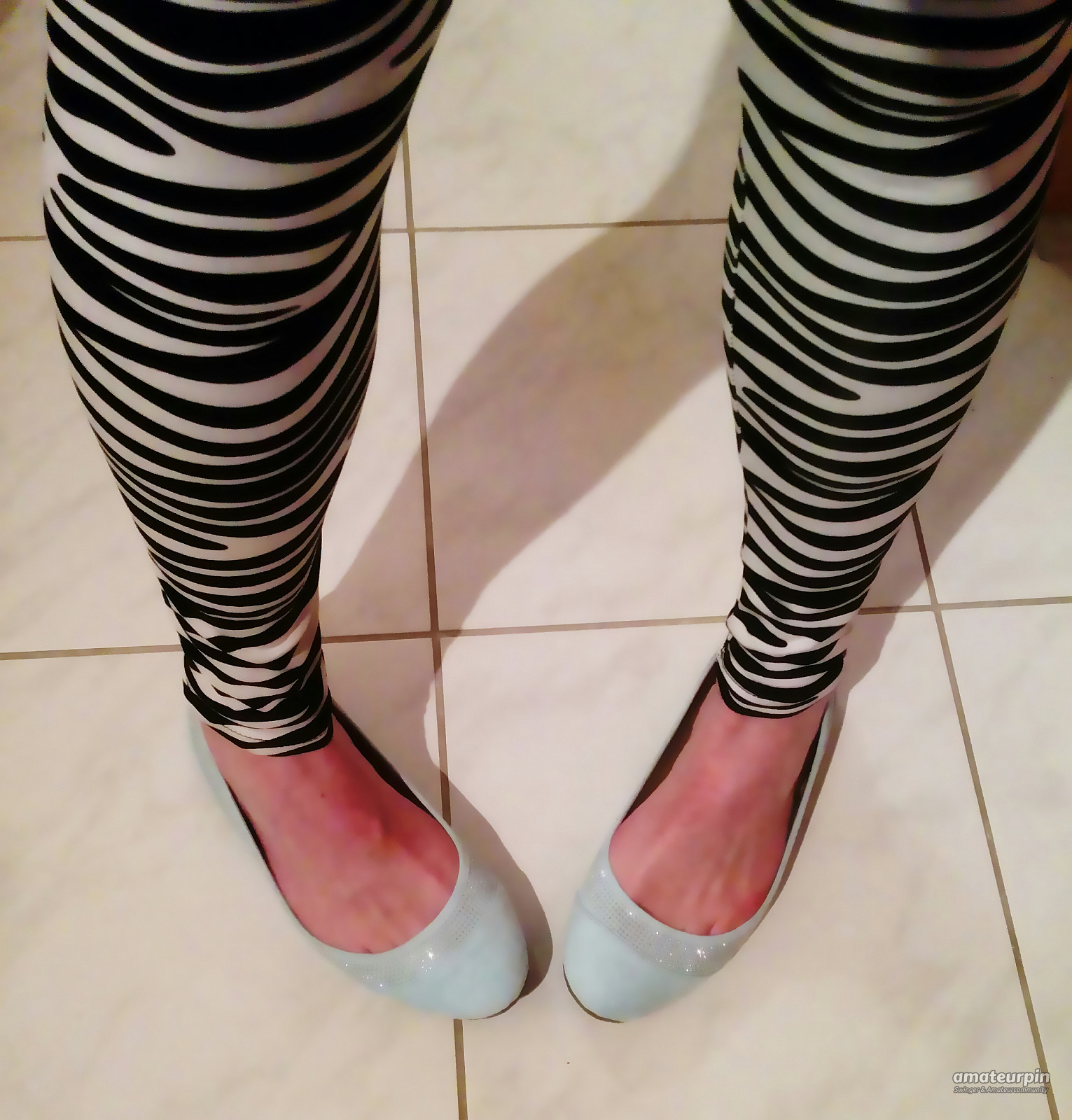 new zebra leggins gallery image