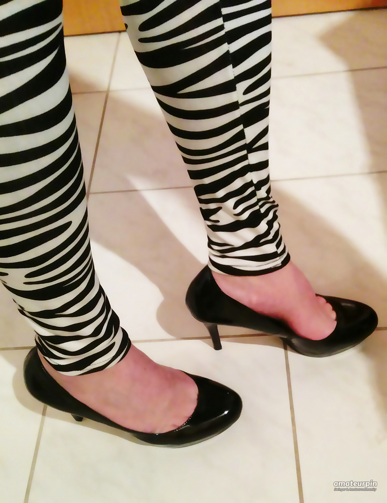 new zebra leggins gallery image