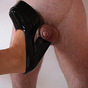 Cock Trampling mit Heels und ohne Heels Galeriebild