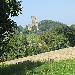 Burg Steinsberg von mir Galeriebild