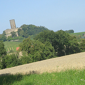 Burg Steinsberg von mir Galeriebild