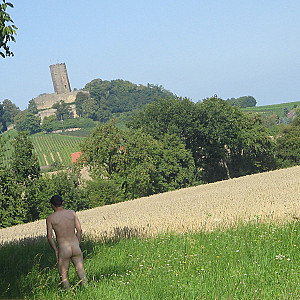 Burg Steinsberg von mir Galeriebild