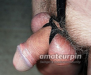 bounded dick gallery image