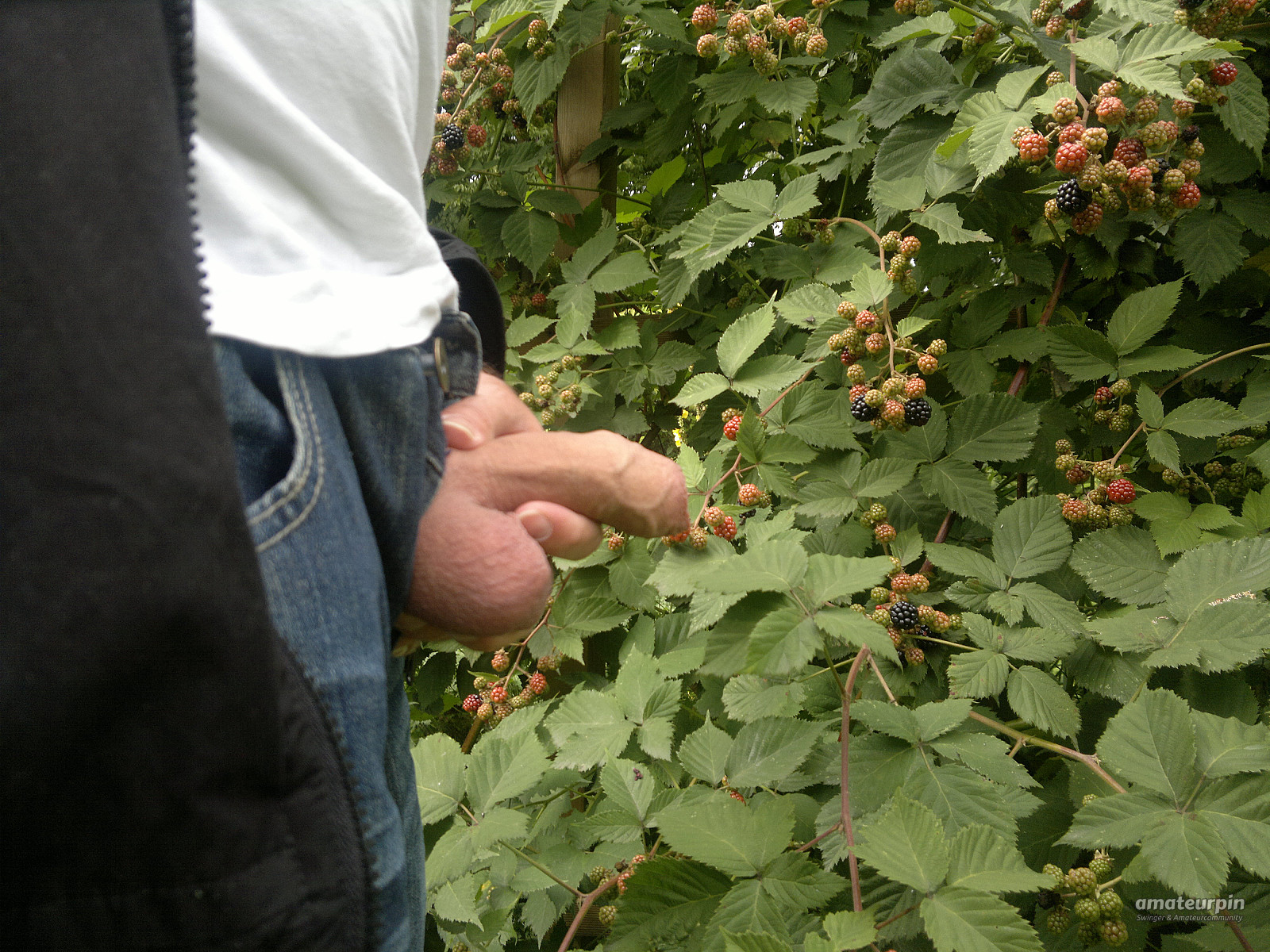 in the harvest gallery image