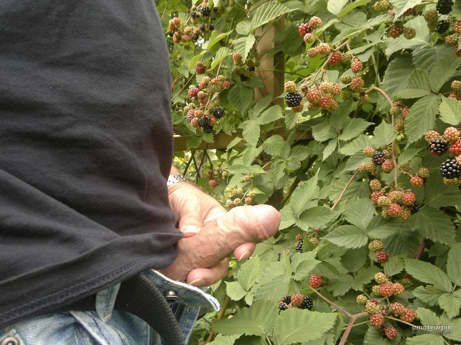 in the harvest gallery image