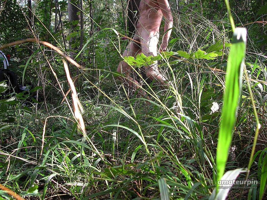 wanking outdoors in the woods gallery image