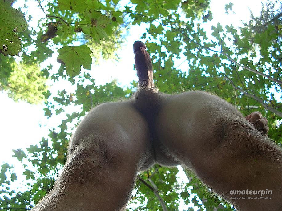 wanking outdoors in the woods gallery image