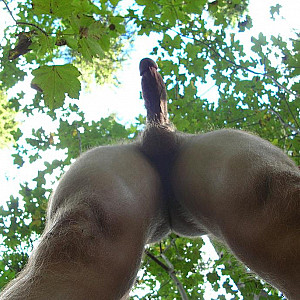 wanking outdoors in the woods gallery image