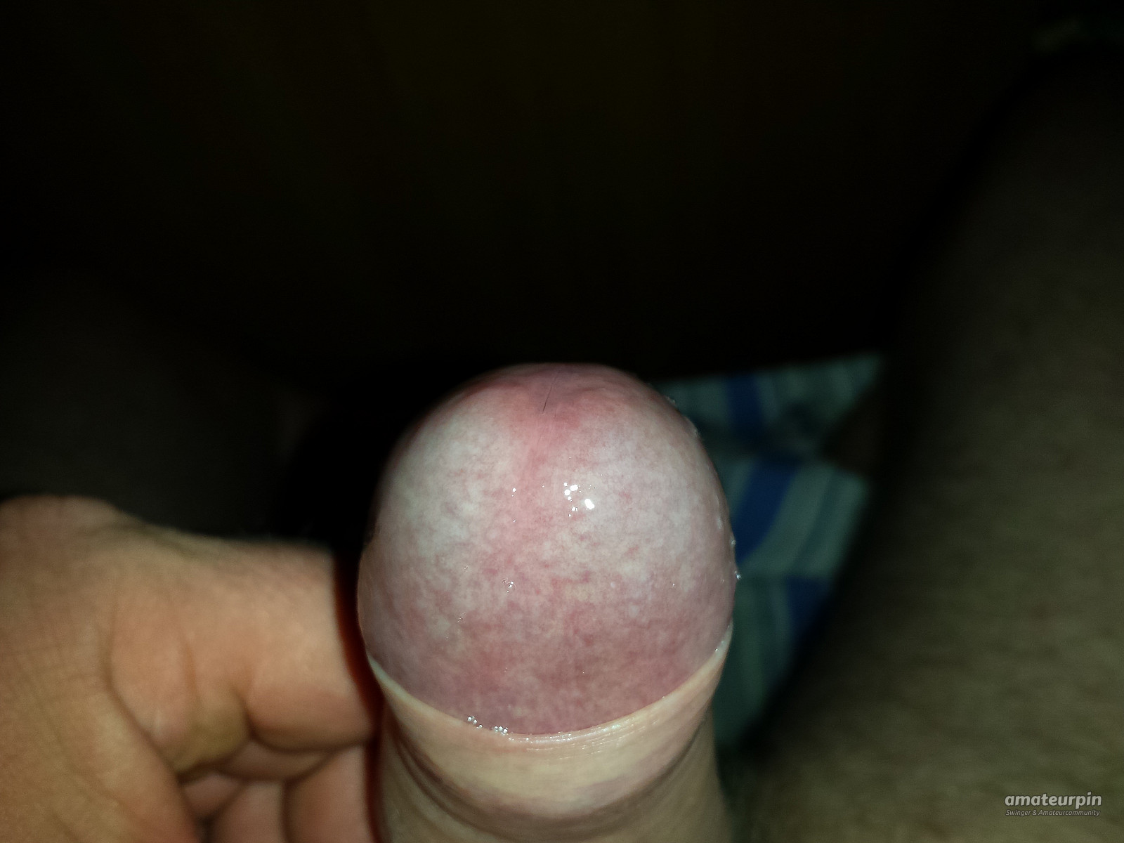 my cock gallery image