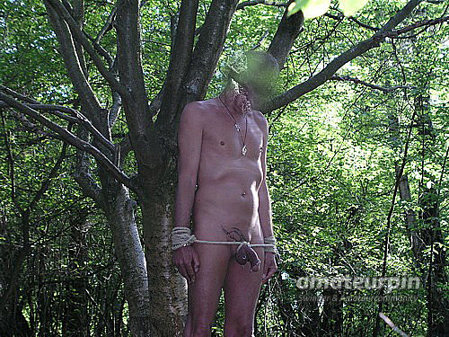 Bondage im Wald Galeriebild