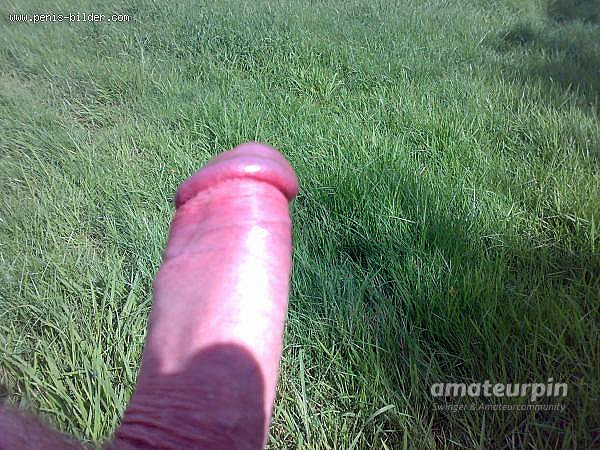 my horny fat cock gallery image