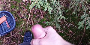 Allein im Wald First Thumb Image