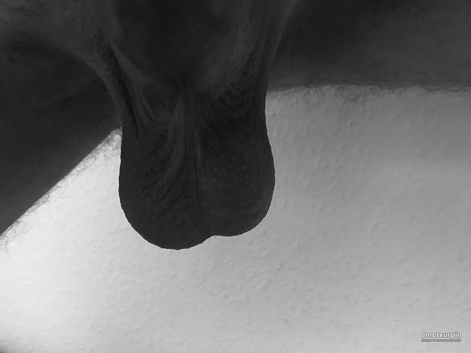 my bounded cock gallery image