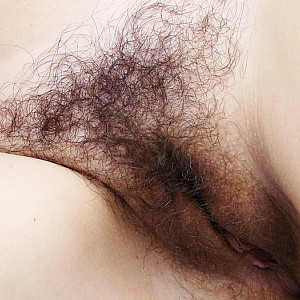 hairy pussy Galerie