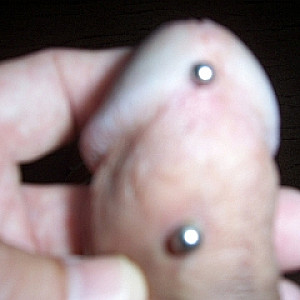 meine Piercings Galerie