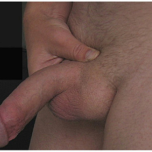 bounding cock a bit gallery image