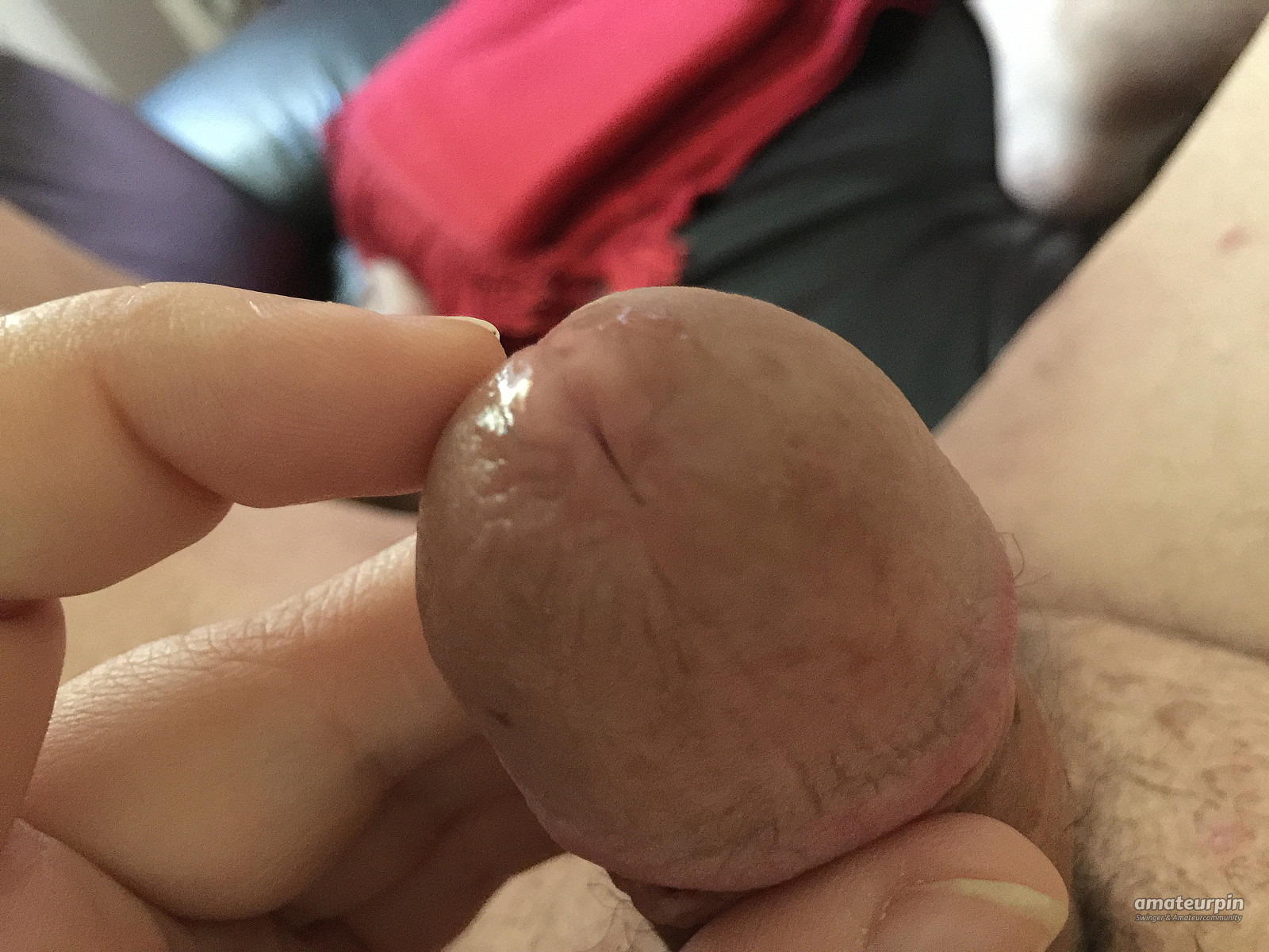 my cock gallery image