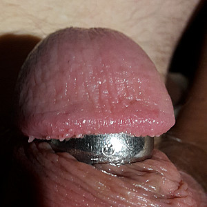 my cockrings gallery image