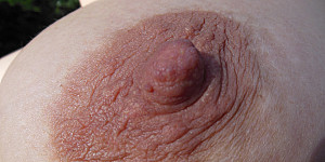 meine Titten First Thumb Image